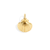 Shell Charm