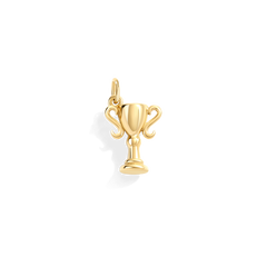 Trophy Charm