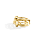 Linked Statement Fidget Rings