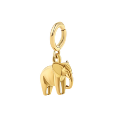 Good Luck Elephant Charm